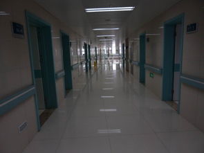 醫用扶手與化工產品供應商 陜西西安、成都重慶及沙坪壩區方圓建材加工廠的全面介紹